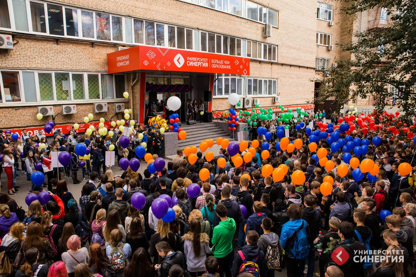 Sinergiya universiteti